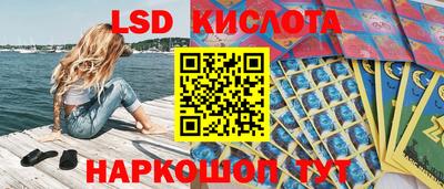 мяу мяу мука Нальчик