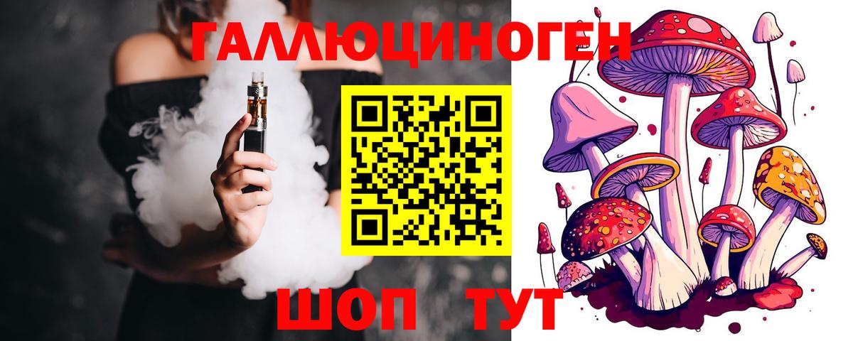 Псилоцибиновые грибы Cubensis Тайшет